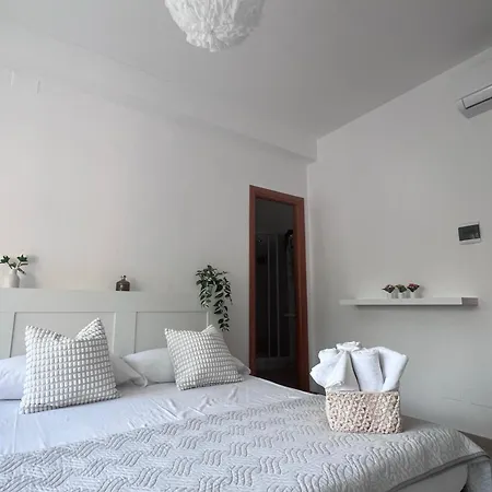 Terracina Central Rooms ゲストハウス